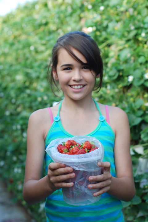 Ricardoes Tomatoes And Strawberries Farm, Port Macquarie - Surfers Gold Coast 0