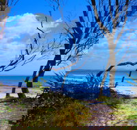 Shark Bay - Surfers Gold Coast