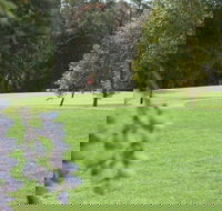 Springwood Country Club - Surfers Gold Coast