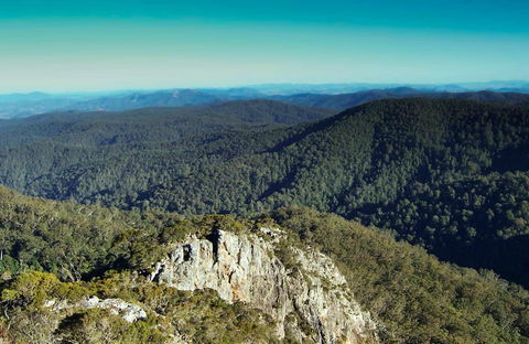 Tapin Tops National Park - Surfers Gold Coast 0