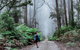 The Corn Trail Walking Track - thumb 0