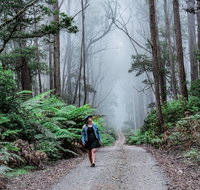 The Corn Trail Walking Track - Surfers Gold Coast