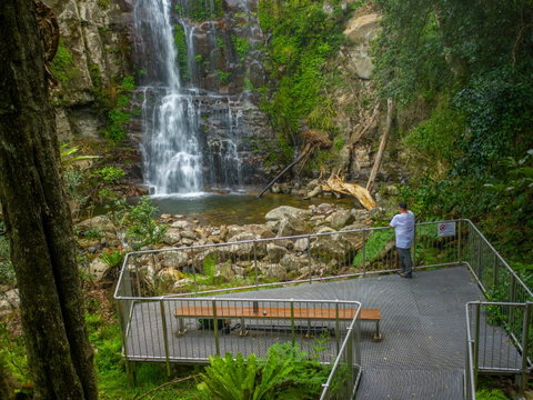 The Falls Walk, Budderoo National Park - Surfers Gold Coast 0