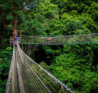Thunderbird Park  - Tamborine Mountain Gold Coast Region - Surfers Gold Coast