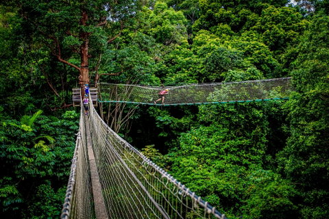 Thunderbird Park ® - Tamborine Mountain, Gold Coast Region - Surfers Gold Coast 0