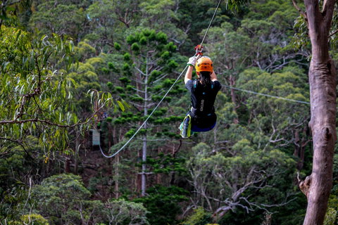 Thunderbird Park ® - Tamborine Mountain, Gold Coast Region - Surfers Gold Coast 2