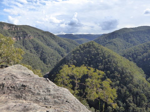 Vale Of Avoca - Surfers Gold Coast 0