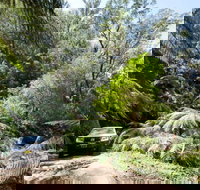 Wadbilliga Road drive - Surfers Gold Coast