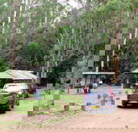 Wallingat Forest Drive - Surfers Gold Coast