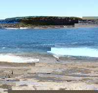 Wasp Head Picnic Area - Surfers Gold Coast