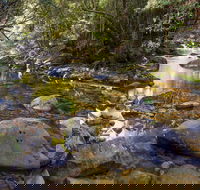 Washpool Walking Track - Surfers Gold Coast