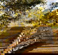 Windmill Walk - Surfers Gold Coast