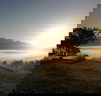 Wollumbin-Mount Warning National Park - Surfers Gold Coast