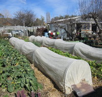 Wynlen House Tour a Unique Urban Regenerative Farm and Market Garden - Surfers Gold Coast