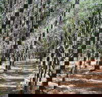 Yana-y Warruwi Walking Track - Surfers Gold Coast