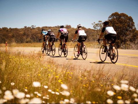 7 Peaks Ride - Dinner Plain - Surfers Gold Coast 0
