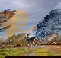 Adelong Falls Walk - Surfers Gold Coast