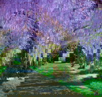 Alowyn Gardens and Nursery - Surfers Gold Coast