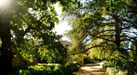 Anlaby - Surfers Gold Coast 1