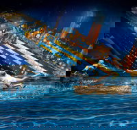 ArtVo Illusions - Surfers Gold Coast