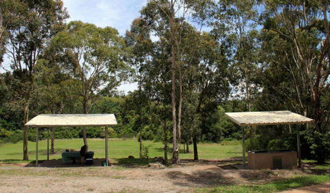 Back Creek Picnic Area - Surfers Gold Coast 0