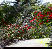 Benalla Botanical Gardens - Surfers Gold Coast