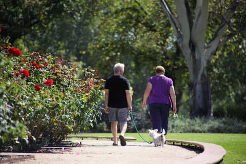 Benalla Botanical Gardens - Surfers Gold Coast 1