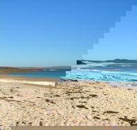Berrara - Surfers Gold Coast