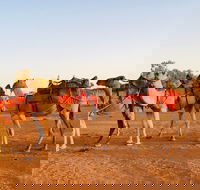 Broken Hill Camels - Surfers Gold Coast