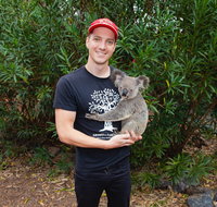 Cooberrie Park Wildlife Sanctuary - Surfers Gold Coast