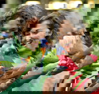 Currumbin Wildlife Sanctuary - Surfers Gold Coast