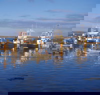 Denham - Surfers Gold Coast