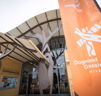 Dogwood Crossing Miles - Surfers Gold Coast