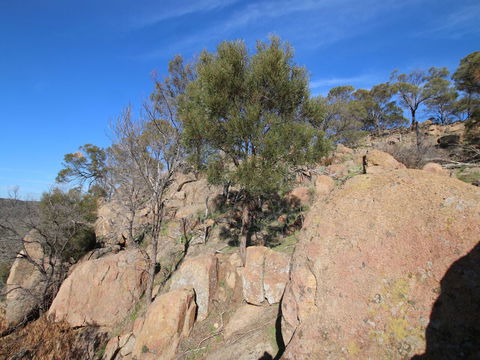 Eldorado And The Woolshed Valley - Surfers Gold Coast 2