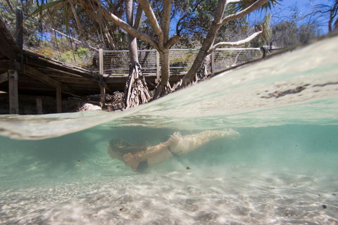 Eli Creek - Surfers Gold Coast 2