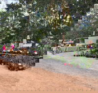 Fred's Pass Rural Market - Surfers Gold Coast