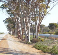 Golden Pipeline Heritage Trail - Surfers Gold Coast