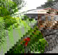 Gully Gardens - Surfers Gold Coast