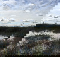 Gwydir Wetlands Moree - Surfers Gold Coast