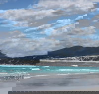 Hakea Walk Trail East Fitzgerald National Park - Surfers Gold Coast