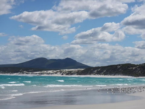 Hakea Walk Trail, East Fitzgerald National Park - Surfers Gold Coast 0
