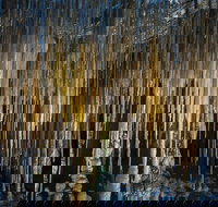 Hastings Caves and Thermal Springs - Surfers Gold Coast