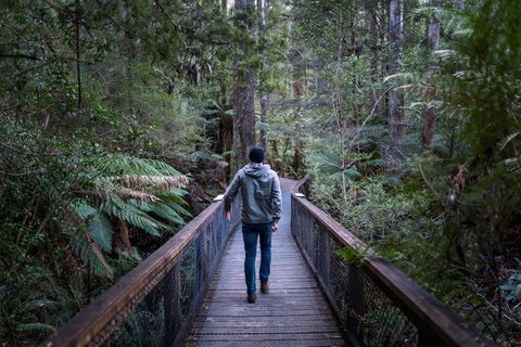 Hastings Caves And Thermal Springs - Surfers Gold Coast 1