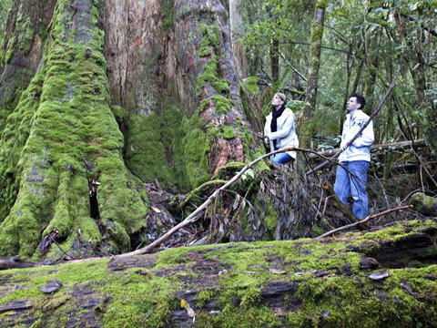 Hastings Caves And Thermal Springs - Surfers Gold Coast 2