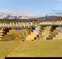Historic Tabulam DeBurgh Timber Bridge - Surfers Gold Coast