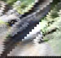 John Egan Pioneer Track - Surfers Gold Coast