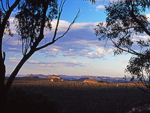 Ka Ka Mundi, Carnarvon National Park - Surfers Gold Coast 0