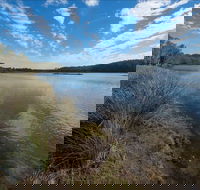 Lake Innes Nature Reserve - Surfers Gold Coast