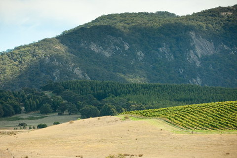 Langi Ghiran State Park - Surfers Gold Coast 0