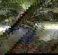 Marriotts Falls and Junee Caves - Surfers Gold Coast